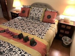 Sunshine Plaza (D7), Apartment #509168801
